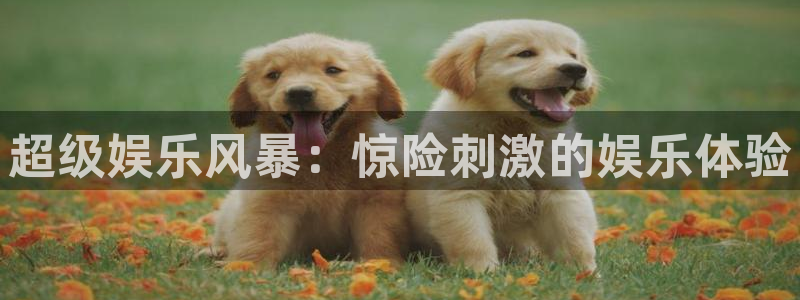 益达娱乐加拿大