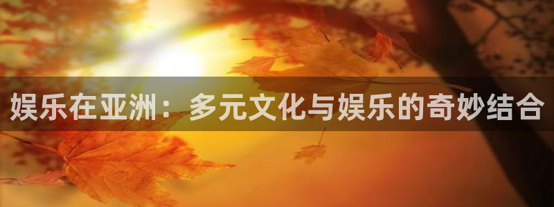 益达娱乐强制退款流程详解