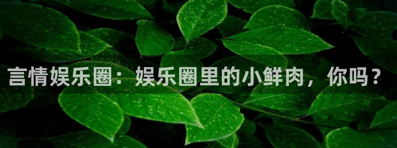 益达娱乐ccm麻将胡了