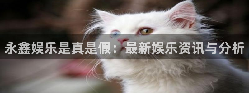益达娱乐那个爆率高