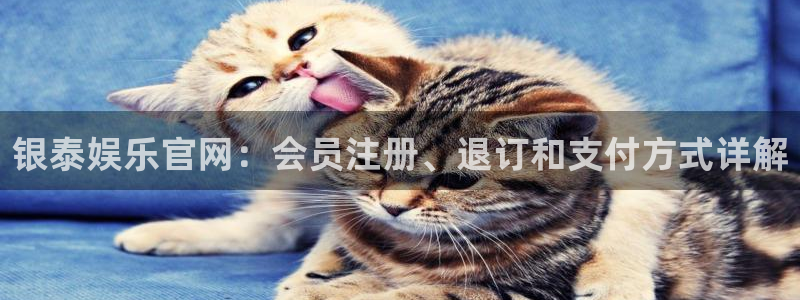 壹号app官网版下载
