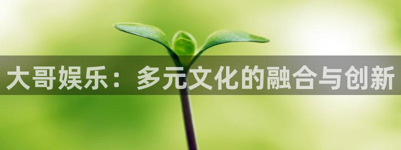 壹号大舞台娱乐传媒