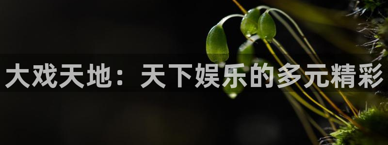 益达娱乐app入口