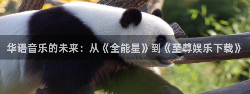 益达娱乐的平台