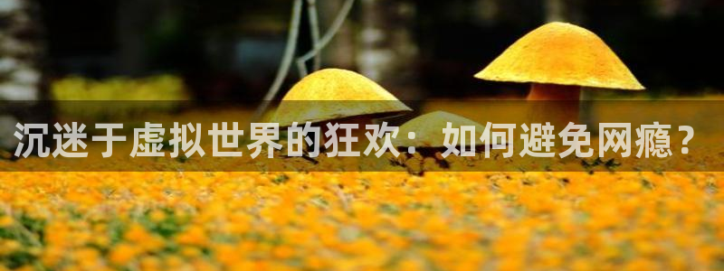 益达娱乐官网