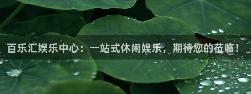 益达娱乐app入口