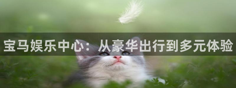 益达娱乐网页版