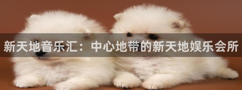 益达娱乐加拿大app预测