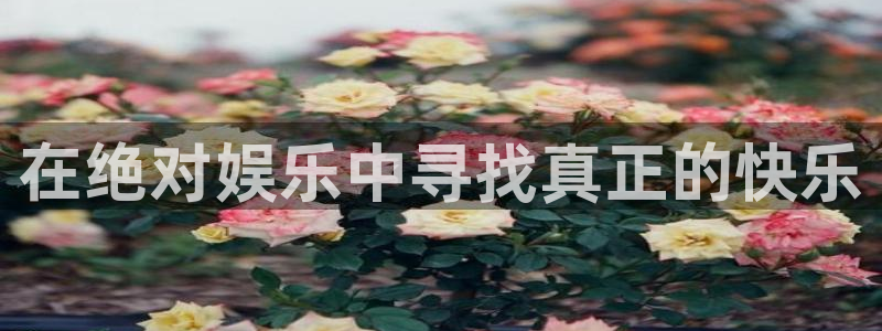 益达娱乐网站
