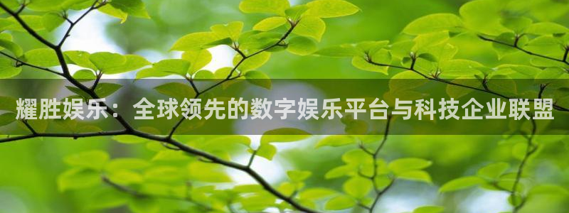 壹号电子娱乐app下载最新版本