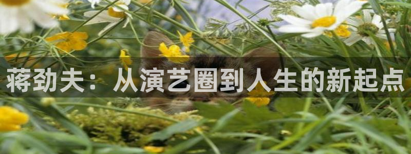 益达娱乐官方app下载安装