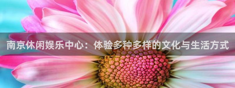 益达娱乐在线预测：南京休闲娱乐中心：体验多种多样的文化与生活方式