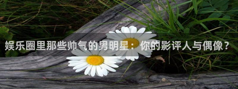 壹号大舞台：娱乐圈里那些帅气的男明星：你的影评人与偶像？