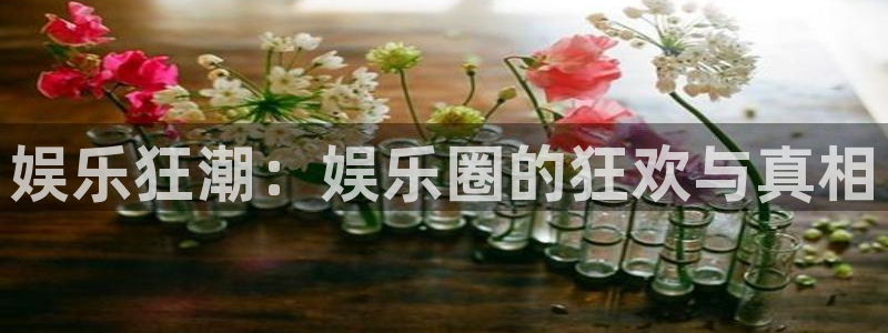 益达娱乐app下载安装：娱乐狂潮：娱乐圈的狂欢与真相