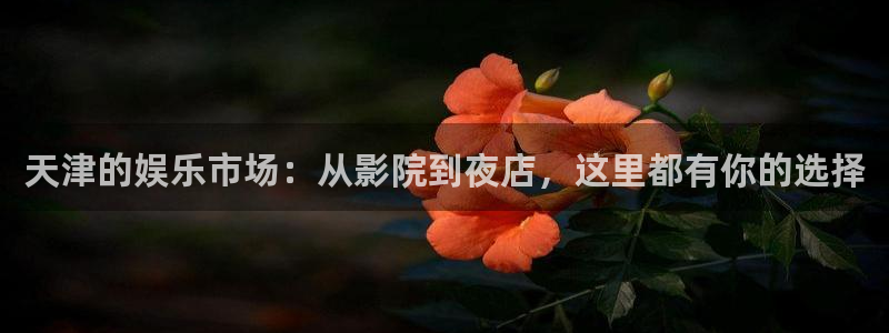 益达娱乐注册入口：天津的娱乐市场：从影院到夜店，这里都有你的选择