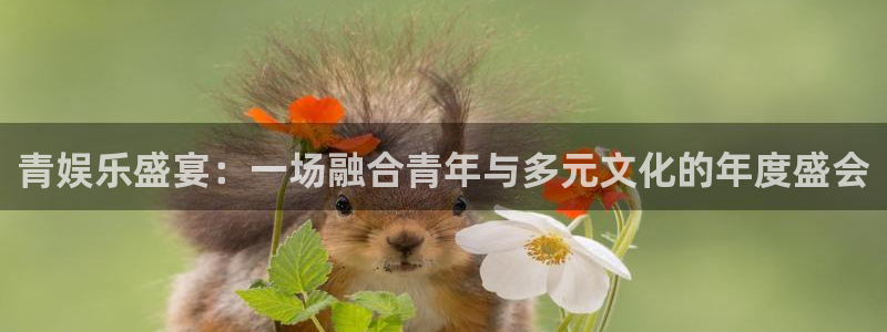 益达娱乐平台官网入口：青娱乐盛宴：一场融合青年与多元文化的年度盛会