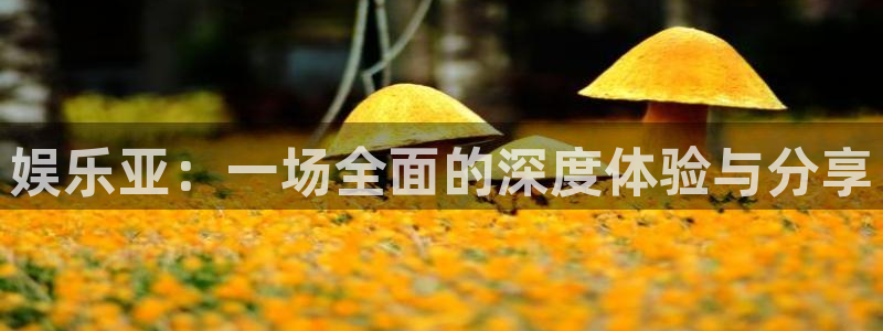 益达娱乐预测在线预测：娱乐亚：一场全面的深度体验与分享